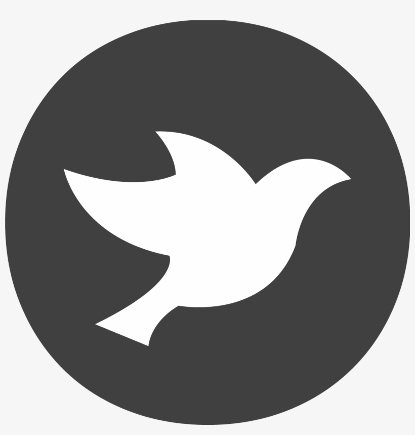 Plpa Web Icon Icon With Star Inside Circle 1251x1250 Png