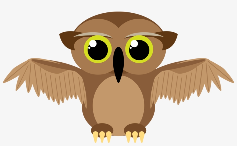 Owl, transparent png