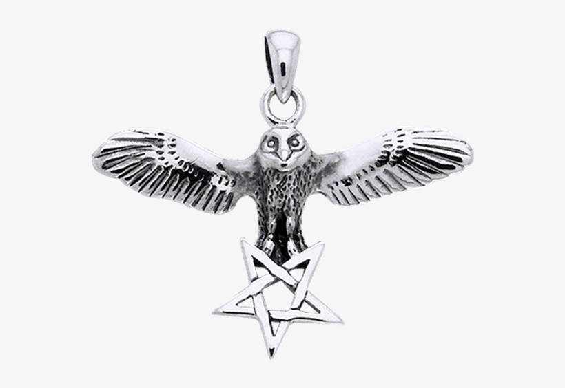 White Bronze Flying Owl Pentagram Pendant - Jewellery, transparent png