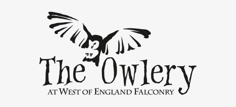 Owl Encounters - Quotes Friend Gossip Behind Your Back, transparent png
