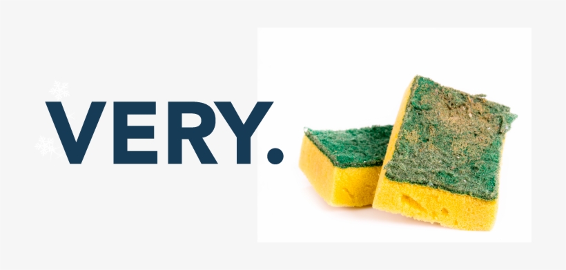 Your Kitchen Sponge Is Very Gross - Sponge, transparent png
