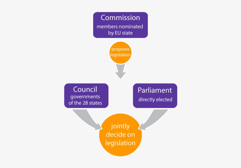 Decision Making Procedures In Detail - Decision Making Process Eu, transparent png