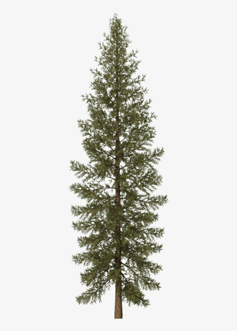 Tips For Flower Use - Pre Lit Pencil Christmas Tree, transparent png