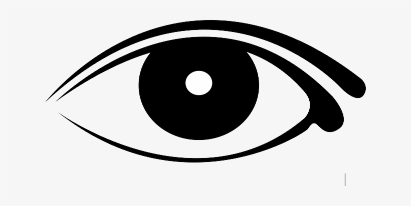 I Have 10 Video's For You, Enjoy Watching Them - Crime Watch, transparent png