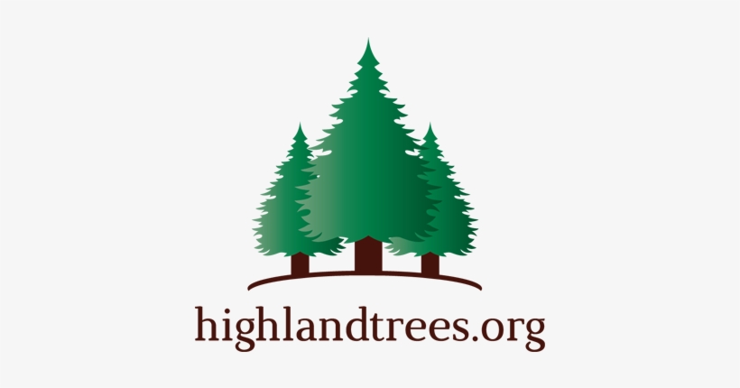 Logo - Christmas Tree, transparent png