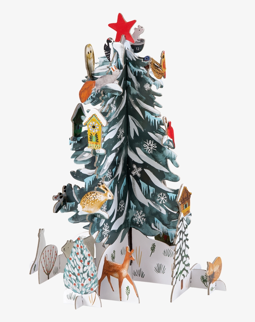 Advent Calendar "christmas Conifer", transparent png