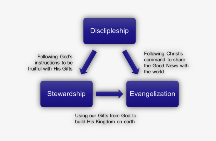 Discipleship, Stewardship And Evangelization - Diagram, transparent png
