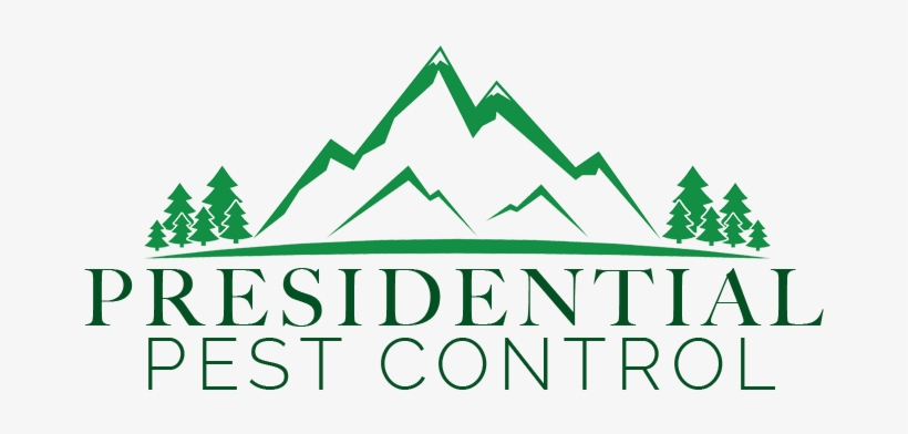 Follow - Mountain, transparent png