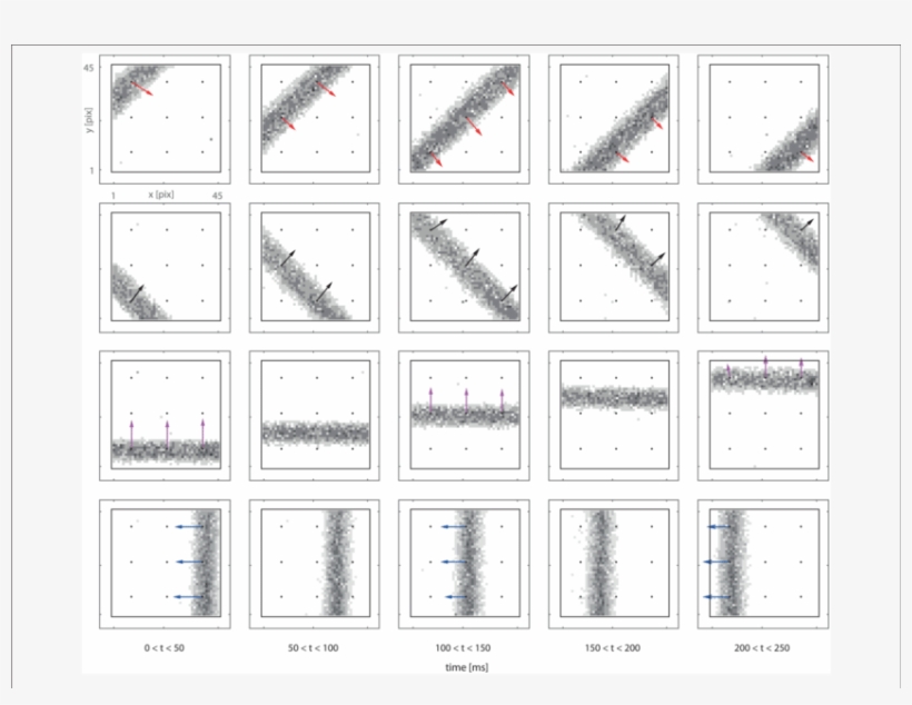 Delay Vector Fields Overlapped To Retina Spiking Activity - Retina, transparent png