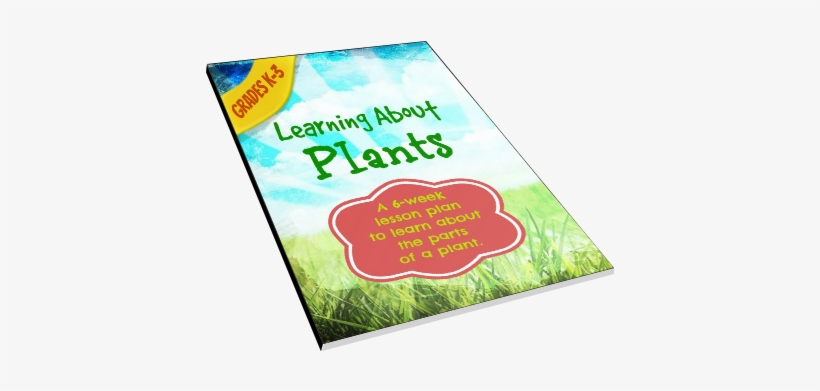 Learningaboutplants - Flyer, transparent png