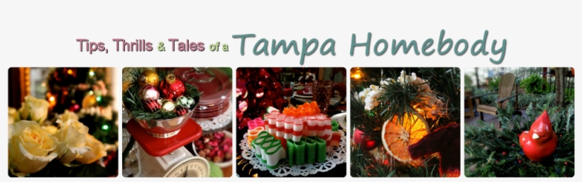 Tampa Homebody - Tampa, transparent png