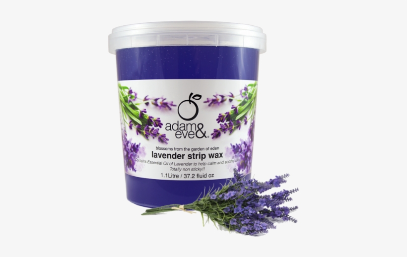 Adam And Eve Wax, transparent png