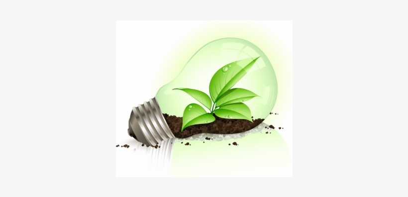 Foco Ecologico, transparent png