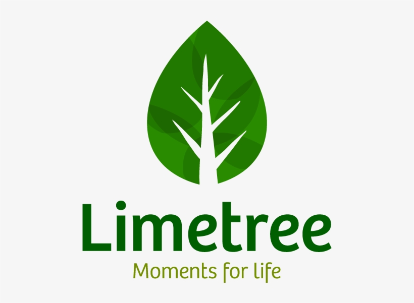Lime Tree Logo Limetree 612x619 PNG Download PNGkit