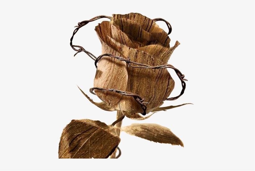 Goth-023 - Diamond In The Rough: Trials And Tribulations, transparent png