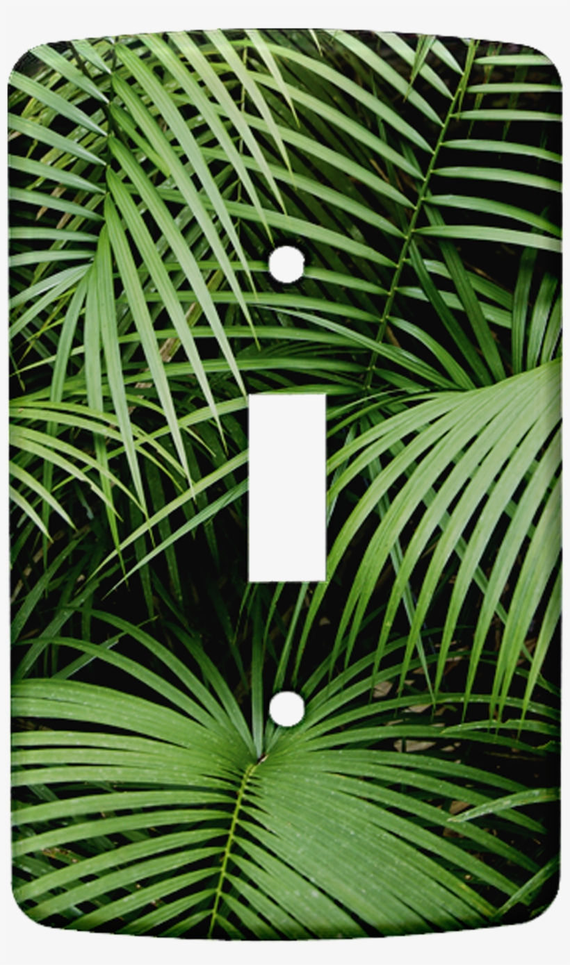 Jungle 330hires - Palms Iphone & Ipod Skin - Iphone 6, transparent png