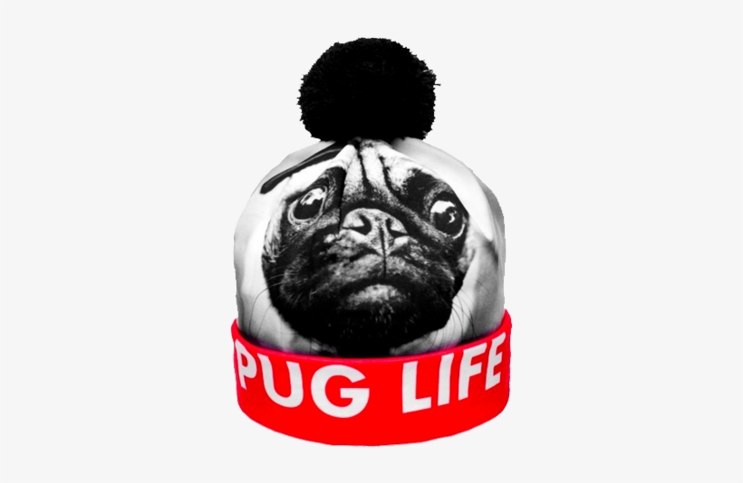 Pug Life Beanie Getonfleek - Hats That Say Pug Life, transparent png