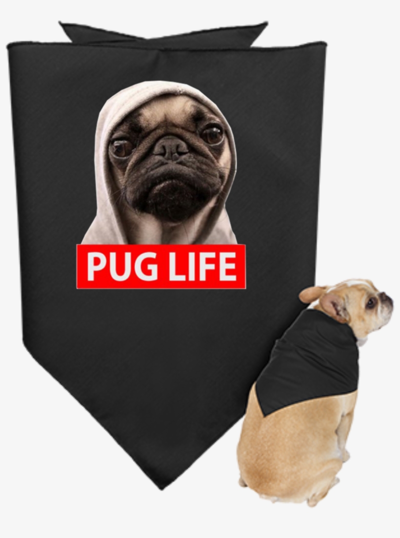 Pug Life - Pug Dog Design Throw Blanket Fleece 58" X 80" (large), transparent png