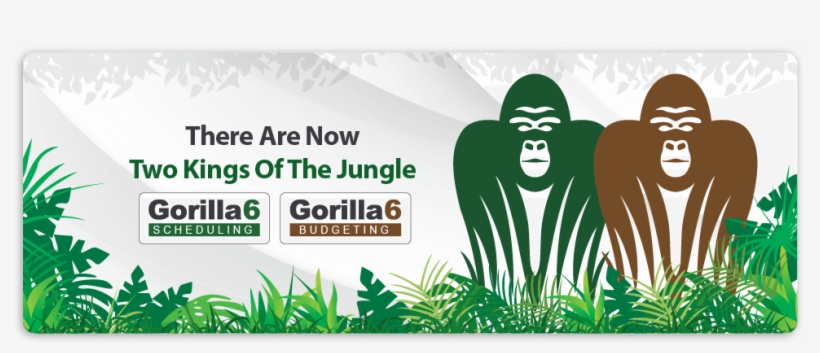 Springsale - Gorilla Budgeting 6 Producer Pack: Download, transparent png
