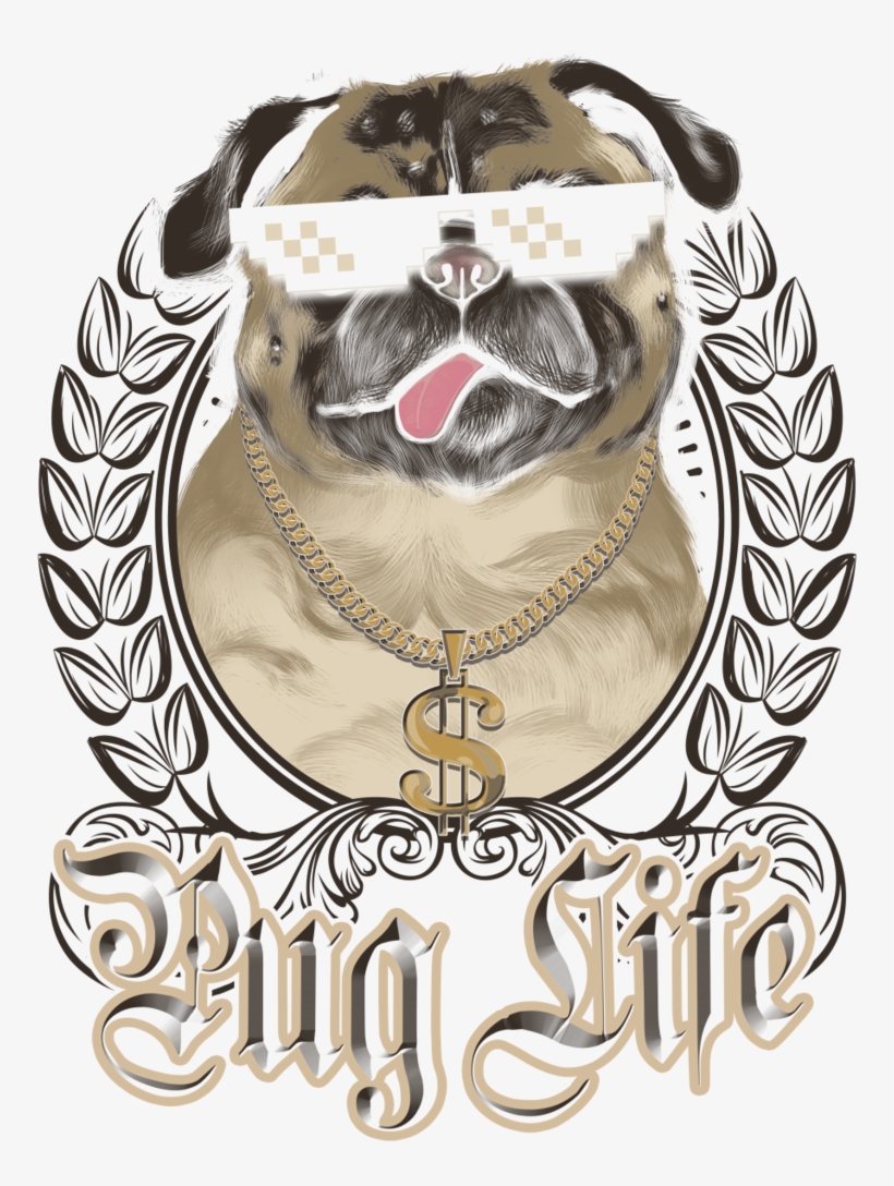 Pug, transparent png