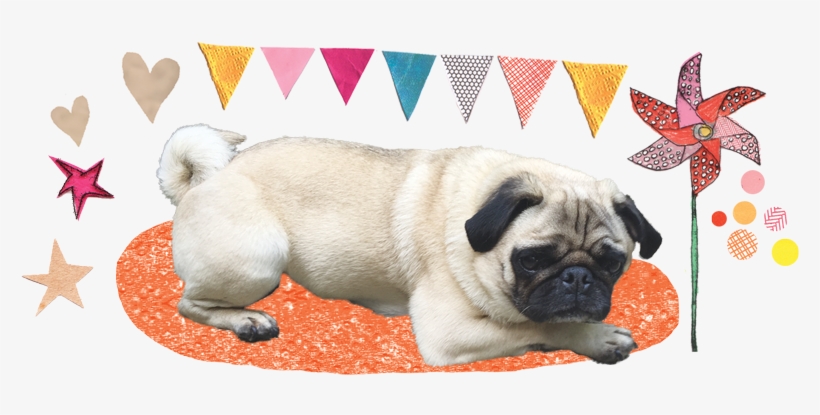Happiness And Longevity - Dog, transparent png