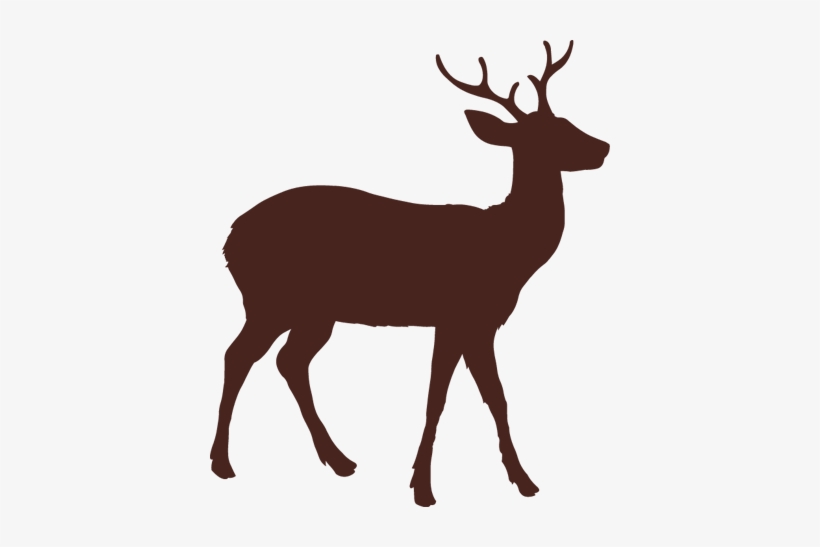 Deer, transparent png