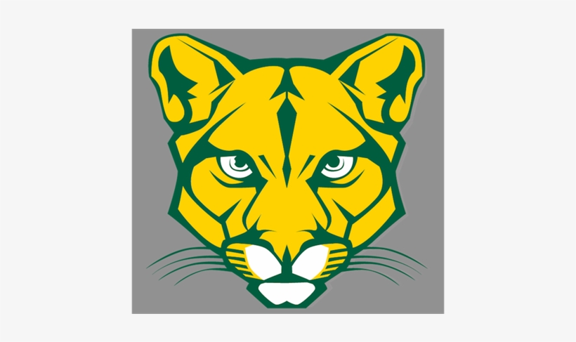 Blackhawk Fastpitch Softball - Cougar Png, transparent png