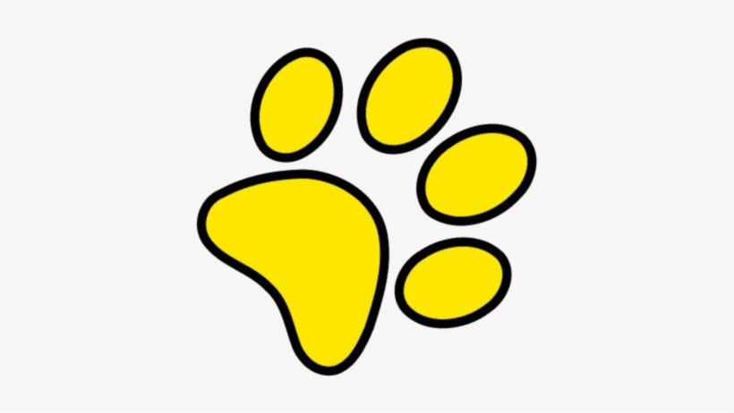 Circle, transparent png
