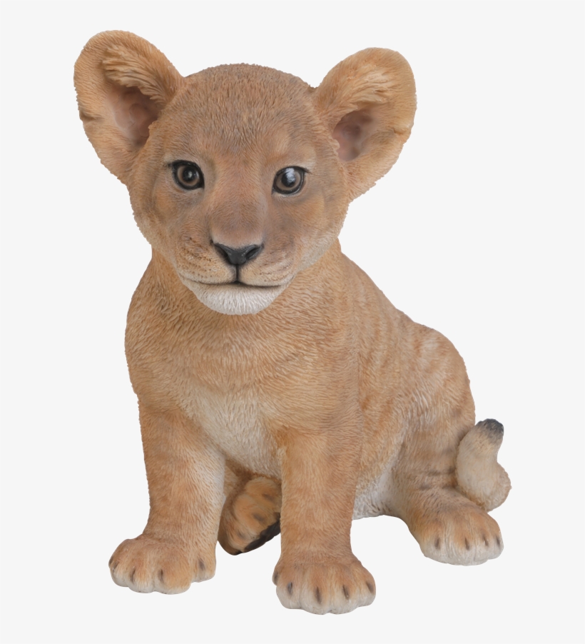 Small Image Of Sitting Lion Cub - Vivid Arts 24cm Sitting Lion Cub Resin Ornament - Xrl-lnc3-d, transparent png
