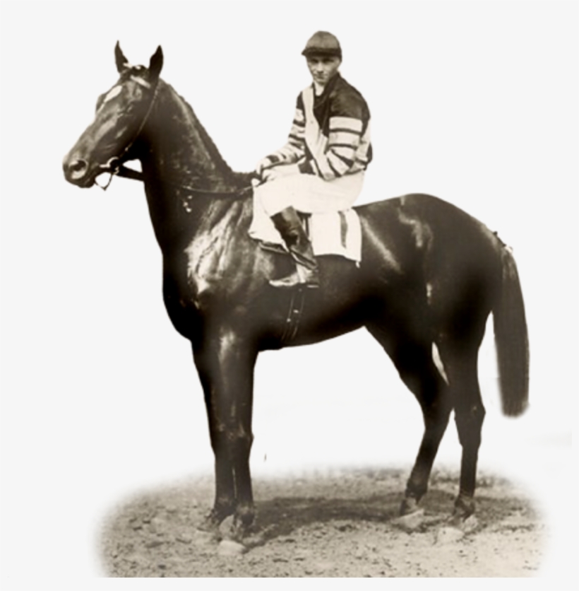 6 Things You May Not Have Known About Man O' War - Man O' War, transparent png