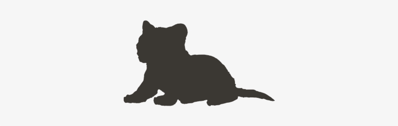Cat, transparent png