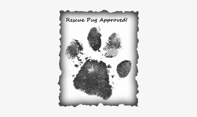 Is A Rescue Pug For Me - Radha Krishna Pencil Shades, transparent png