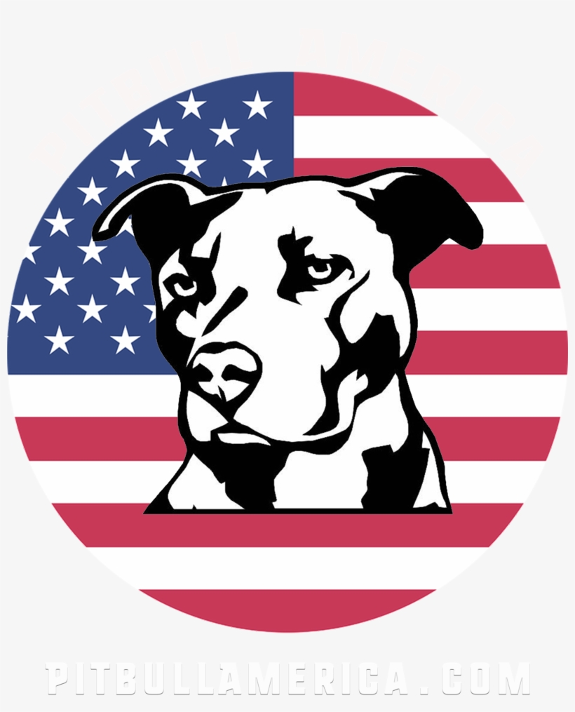 Pitbull America - Flood City Fabrications Warning Protected By Pit Bull, transparent png