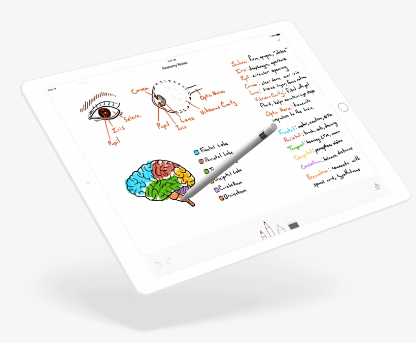 The Sharpest Tools In The Shed - Graffiti, transparent png