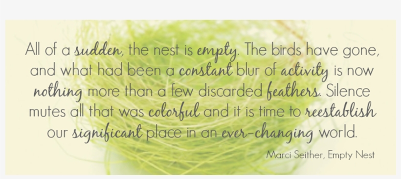 The Ultimate Oxymoron - Empty Nest Syndrome Prayers, transparent png