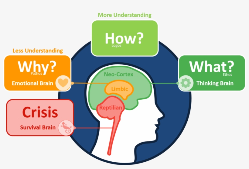 Fitnessplatter - Triune Brain Reptilian Brain, transparent png