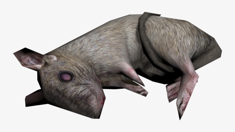 Download Zip Archive - Boar, transparent png