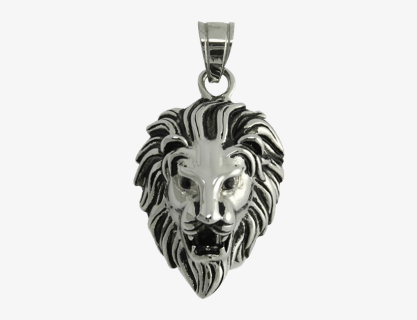 Stainless-steel Lions Head Pendant - Lion, transparent png