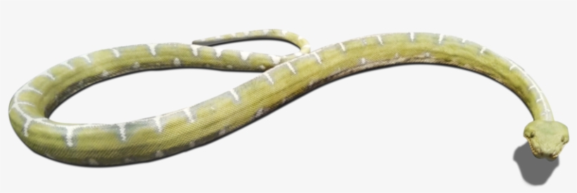 Download And Use Snake Png Clipart - Portable Network Graphics, transparent png