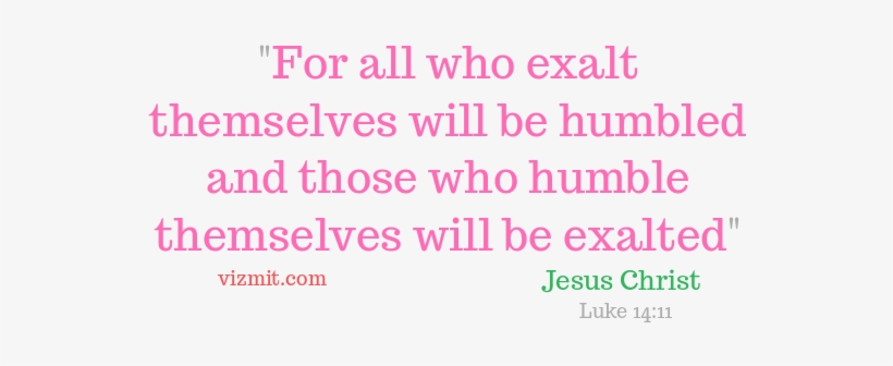 Good Quotes About Life - Lifesaving For Beginners By Anne Edelstein, transparent png