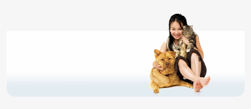 Animal Shelter Heroes: How To Be A Hero With The Shelter, transparent png