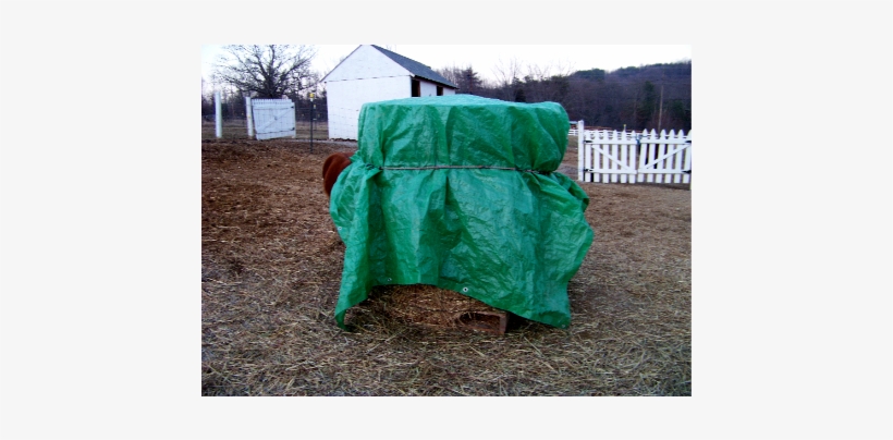 Roundbale3 - Horse, transparent png