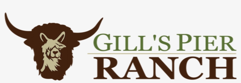 Gill'spierranch, transparent png