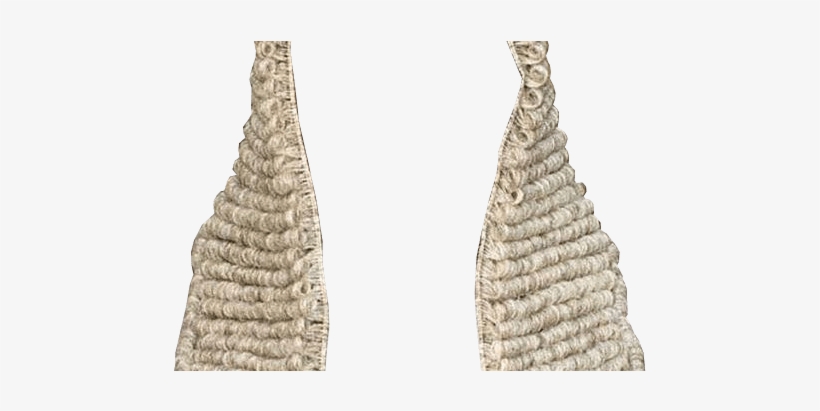 Free Transparent Wig - Judge Wig, transparent png