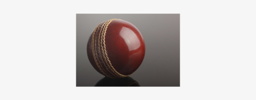 Cricket, transparent png