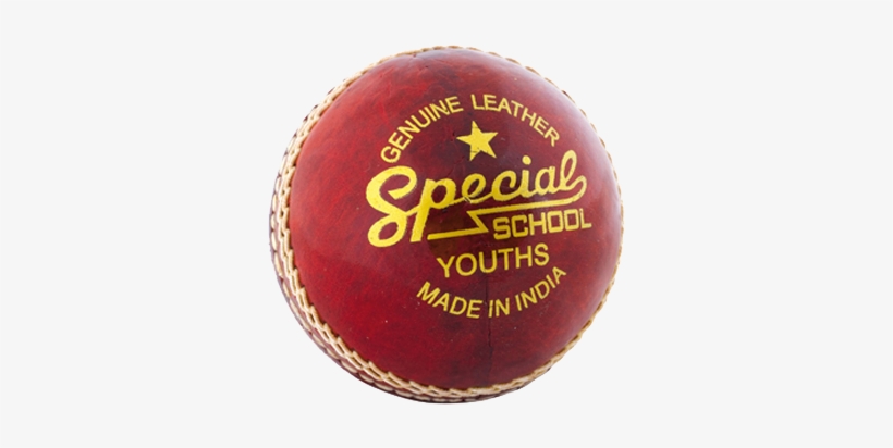 Readers Special School Cricket Ball - Readers.com Readers Special School Cricket Ball, transparent png