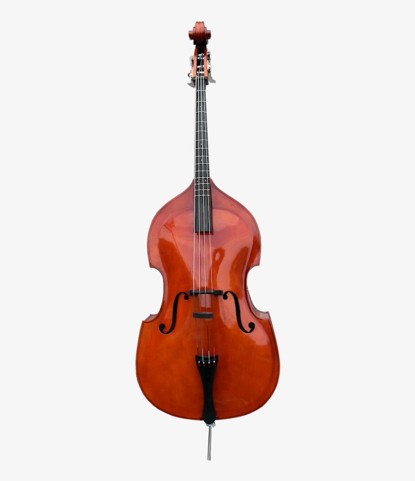 Fret Cello With No Background 300x877 PNG Download PNGkit