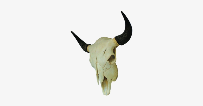 Image - Buffalo, transparent png