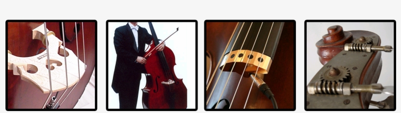 Double Bass Hire - Double Bass, transparent png