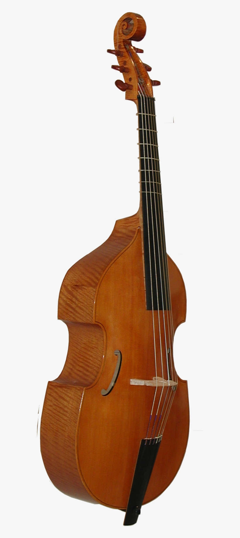 Norman Bass - Guitar, transparent png